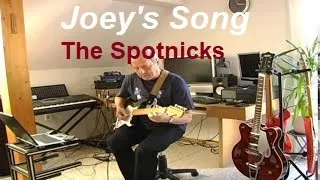 Joey's Song (The Spotnicks)