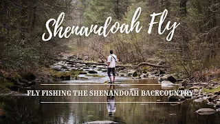 SHENANDOAH FLY - [FULL 4K FILM] - Backpack Fly Fishing the Shenandoah Wilderness