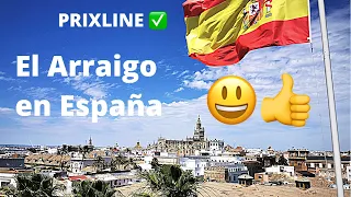 PRIXLINE ✅ Los ARRAIGOS para Vivir en España 🇪🇸 😃 👍