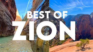 Best Zion National Park - Top Hikes, Time to Visit , Things To Do, Angel’s Landing, The Narrows