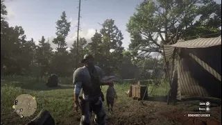 Red Dead Redemption 2 Chicken Dies At Camp The Gang Members Reaction Hidden Dialogue