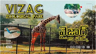 Vizag zoo park | Indira Gandhi Zoological Park | Visakhapatnam zoo park #vizag #zoo #visakhapatnam