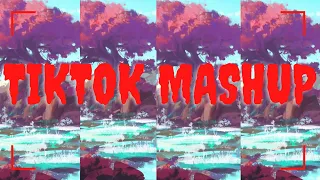 TikTok Mashup April 2022 (Not Clean)
