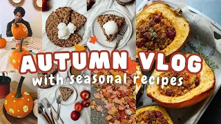Cozy Autumn Vlog with Dinner Recipes, Apple Cake, and Pumpkin Painting 🎃