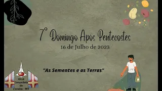 7º Domingo Após Pentecostes