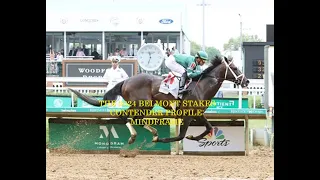 2024 BELMONT STAKES CONTENDER PROFILES - MINDFRAME