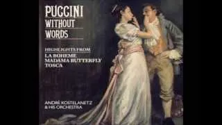 17. Vissi d'arte (Instrumental) - Tosca, Act II - Giacomo Puccini