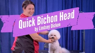 Bichon Head Grooming Demo by Lindsey Dicken