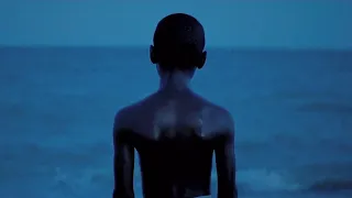 Seigfried - Frank Ocean | (music video)