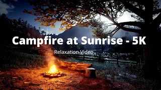 Nature Relaxation Video  - 5K &  Peaceful Campfire at Sunrise & Relaxation Sounds