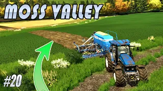 The Worker Destroyed My Canola! | Moss Valley (FS22 Saving The Farm)