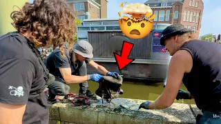 Surprise Magnet Fishing Finds from Canals in the Hague!