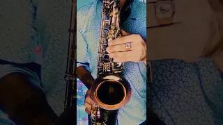 БРАТЬЯ РАДЧЕНКО - ДОМИК ОКНАМИ В САД (SAX cover by OppositeMus)