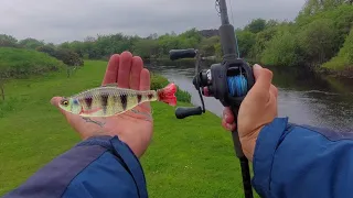 Is this the most underrated pike lure?