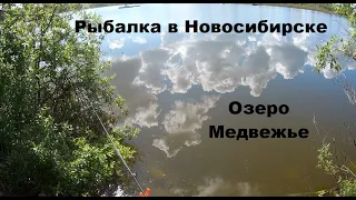 Рыбалка на озере Медвежье на карася. Отличный клёв!!! Fishing in Siberia on lake Medvezhye