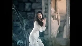 Kate Bush - Wuthering Heights - Gothic Version (Music Video)