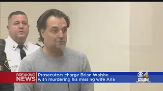 Prosecutors charge Brian Walshe with murdering his wife Ana Walshe