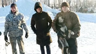 🔴Мужчины поймали щенка с капканом на лапе 😲 Что же они сделали дальше с собакой?