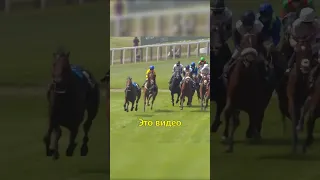 🐎Лошадь Отомстила за Наездника