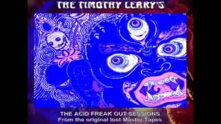 ULTRA VIOLET VOODOO SUBMARINE HAPPENING  - THE TIMOTHY LEARY'S (RARE PSYCH-FREAK-BEAT)