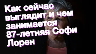 Как сейчас выглядит и чем занимается 87-летняя Софи Лорен