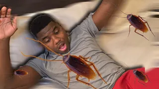 HILARIOUS ROACH PRANK ON HUSBAND **Watch His Reaction**