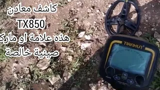 كاشف المعادن الكهرومغناطيسي ،تقديم  Tx850 metal detector