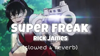 rick james // super freak (slowed & reverb) (tiktok song)