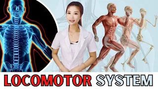 Watch and Learn about Locomotor System in Chinese / Pre-Clinical Medical Chinese Lesson 2