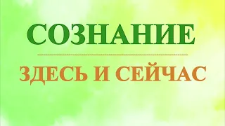 А.В.Клюев - КОГДА МОЛЧИТ УМ - БДИТЕЛЬНОСТЬ - Здесь и Сейчас - Когда УМ НЕ МОЛЧИТ (11/43)