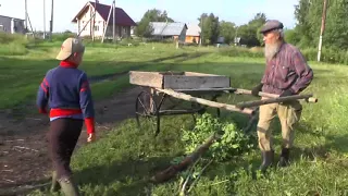 Вывоз тычинок для подвязки помидоров.  И что из этого выйдет.  25. 07. 2018