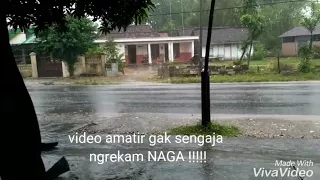 VIRAL !! PENAMPAKAN NAGA DI JAWA TIMUR !!!