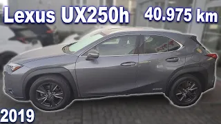 Lexus UX250h 2019 - one more!