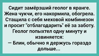 Как Геолог Отблагодарил Чукчанку за заботу! Сборник Свежих Смешных Жизненных Анекдотов!