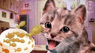 Little Kitten Preschool Adventure Educational Games - Play Fun Cute Kitten Pet Care Gameplay #435