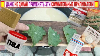 🍇 Осторожно! Даже не думайте ТАК ПРИМЕНЯТЬ ПРИЛИПАТЕЛИ на винограде. Подумайте, а нужно ли ЭТО!