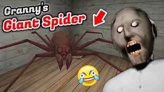 Fun with Giant spider 😂😂 | Granny horror game