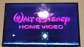 Bad News About My 1991 VHS Of WTP And The Honey Tree