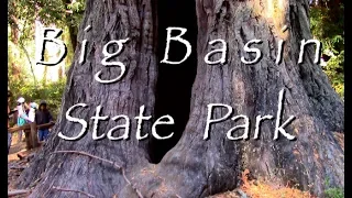 Big Basin State Park HD Movie