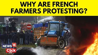 France Farmer Protests | Paris Siege | Explained: Why Are French Farmers Protesting? | N18V