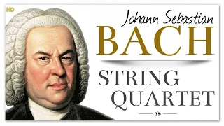 Bach String Quartet - The Art Of Fugue | Baroque Chamber Classical Music