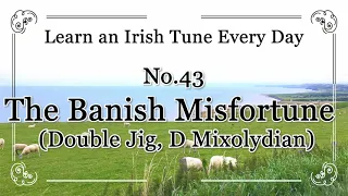 043 The Banish Misfortune (Double Jig, D Mixolydian) Learn an Irish Tune Every Day.