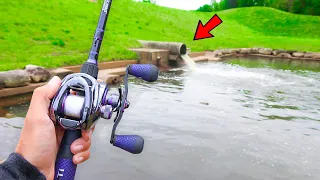 Searching for GIANT Bass in FARM Ponds (Bank Fishing)