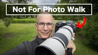 NOT Ideal Photo Walk Camera –Canon R3 + RF 100-500mm