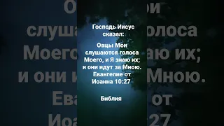 Овцы Мои слушаются голоса Моего, и Я знаю их; и они идут за Мною.Евангелие от Иоанна 10:27 Библия