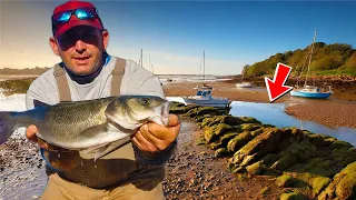 10 Ways To Find Bass At Low Tide