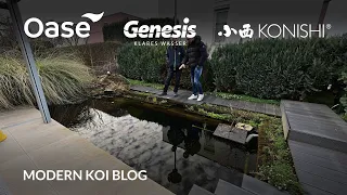 Modern Koi Blog #5830 - Diese Qualität hat das Wasser in Andreas Kleinteich