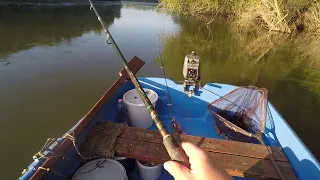 HÓD TÁMADÁS UTÁN KESZEGEZÉS. VÁGATLAN HORGÁSZAT, AZ TÖRTÉNIK AMIT LÁTSZ, NEM ÖSSZESZABOTT VIDEÓ..FHD