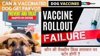 Price Dhppil - Can Dogs Get Parvo | Distemper After Vaccination? डॉगी की जान ले सकता है ये वायरस