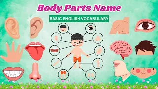 Learn Parts of Body Name for Kids - Human Body Parts - Organs Name of Body by Moko Loko Tv